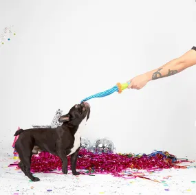 BARK Roll Over Party Blower Medium Toy